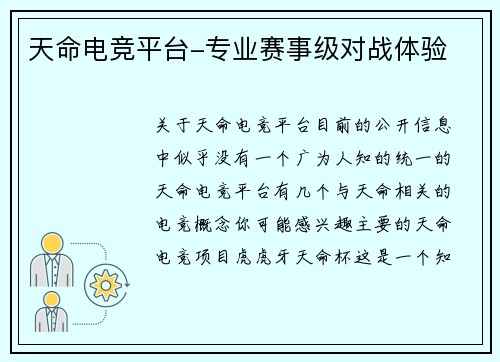 天命电竞平台-专业赛事级对战体验