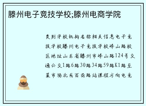 滕州电子竞技学校;滕州电商学院